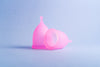 Disposable Menstrual Cup | Menstrual Cup | Bohokiwi